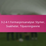 3-2-4-1 Formasjonsanalyse: Styrker, Svakheter, Tilpasningsevne