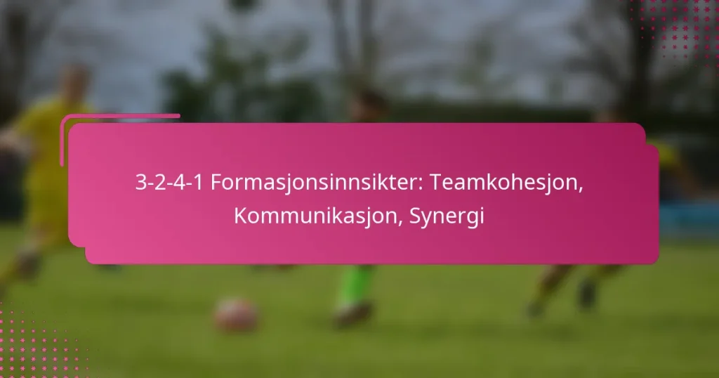 3-2-4-1 Formasjonsinnsikter: Teamkohesjon, Kommunikasjon, Synergi