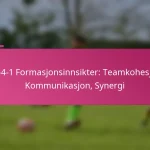 3-2-4-1 Formasjonsinnsikter: Teamkohesjon, Kommunikasjon, Synergi