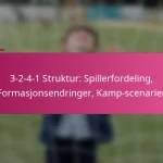 3-2-4-1 Struktur: Spillerfordeling, Formasjonsendringer, Kamp-scenarier