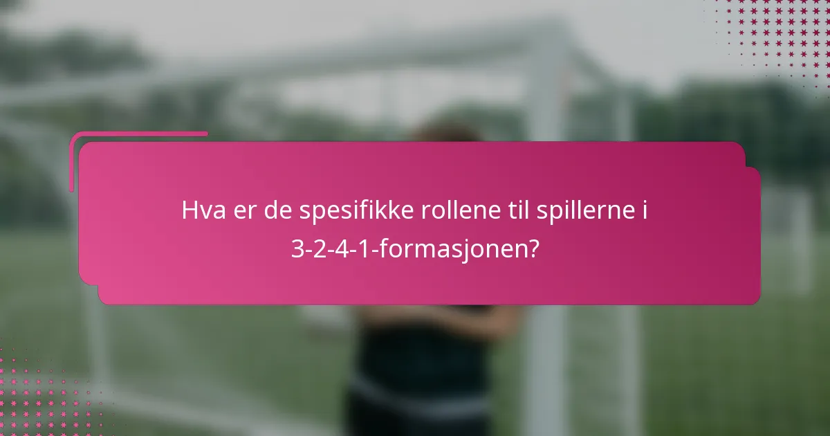 Hva er de spesifikke rollene til spillerne i 3-2-4-1-formasjonen?