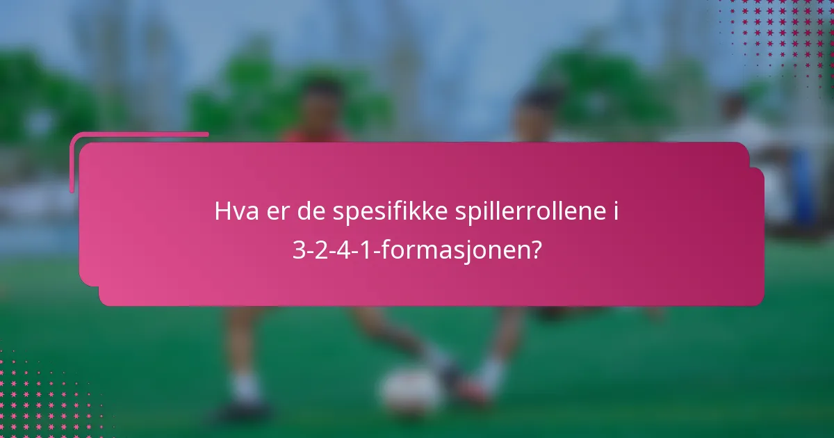 Hva er de spesifikke spillerrollene i 3-2-4-1-formasjonen?
