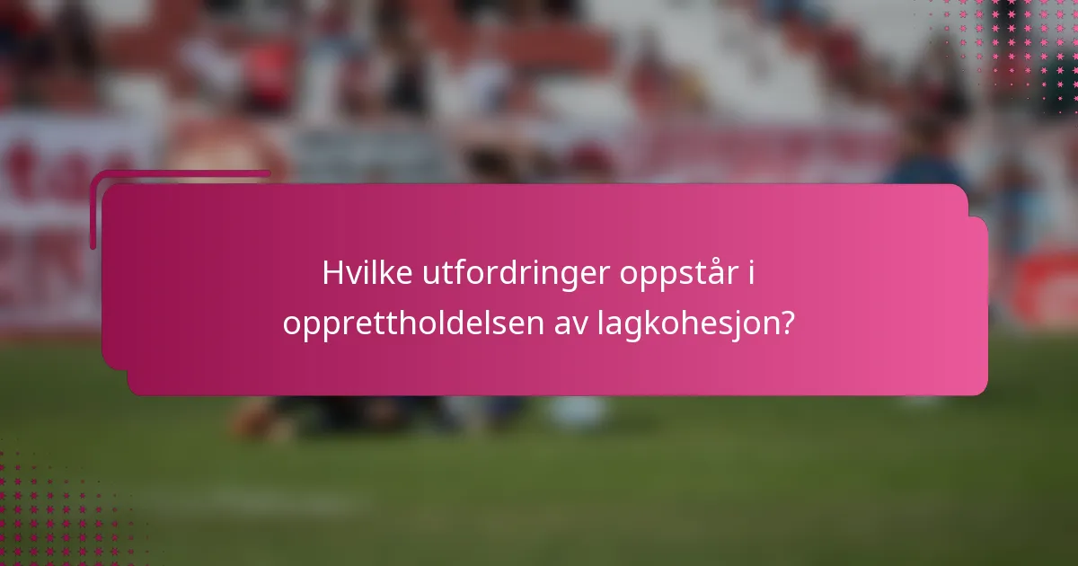 Hvilke utfordringer oppstår i opprettholdelsen av lagkohesjon?